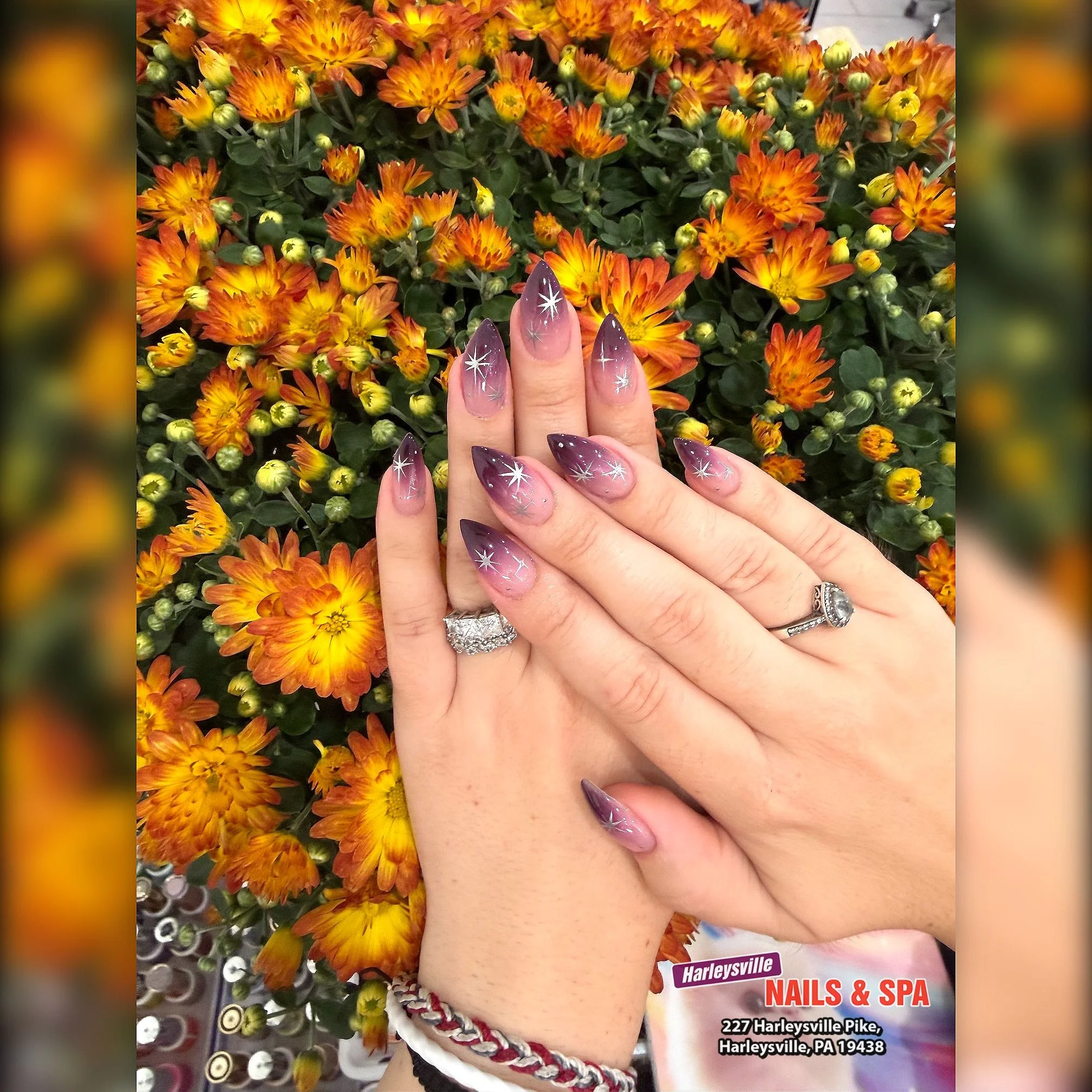 Nail Sep 24